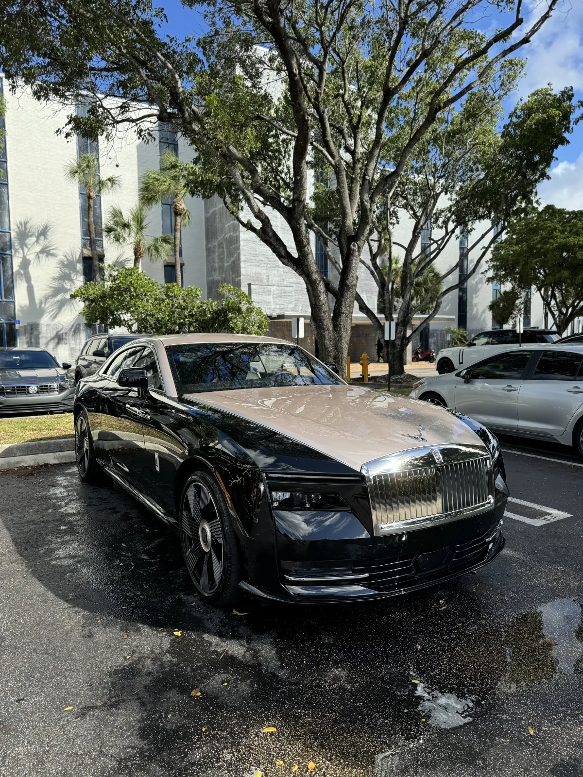 Mobile Detailing